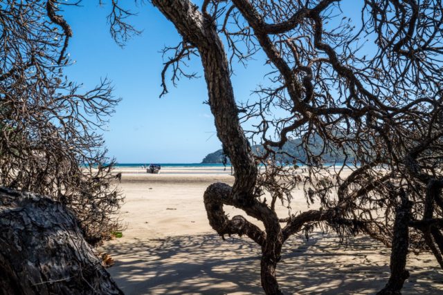 Boat at Low Tide at Tryphena Beach on Great Barrier Island, Aotea