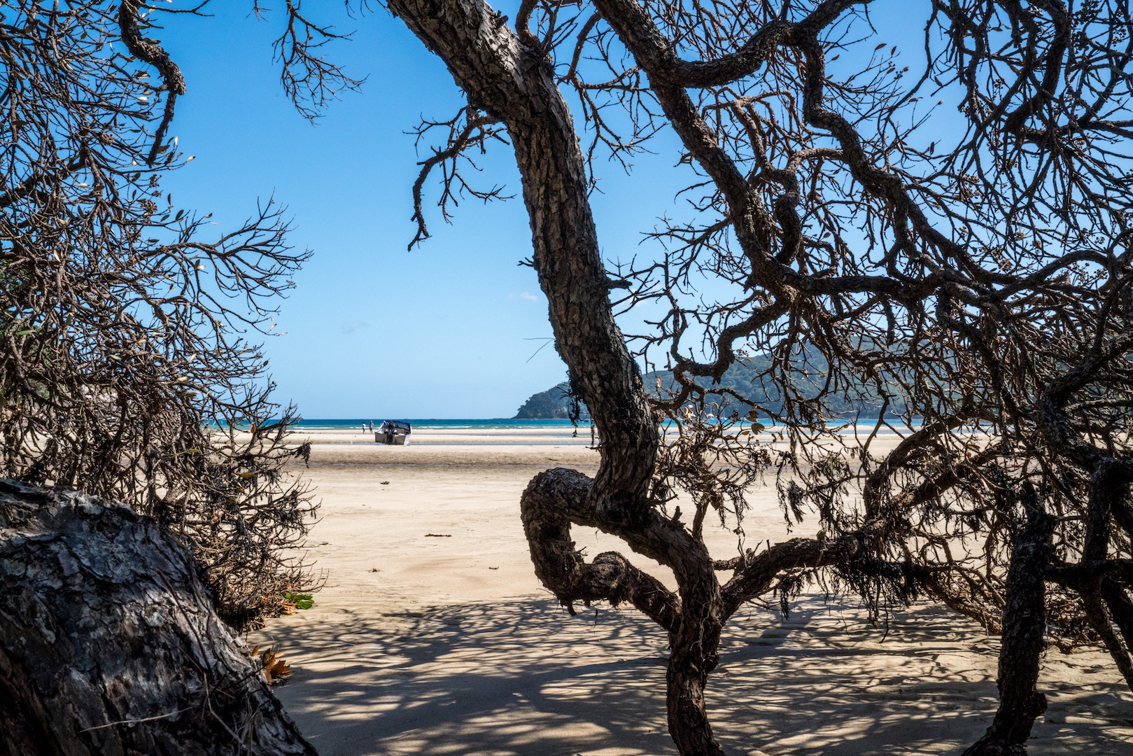 Boat at Low Tide at Tryphena Beach on Great Barrier Island, Aotea
