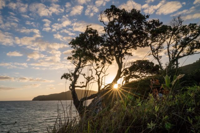 Tryphena Coast Sunset on Great Barrier Island, Aotea