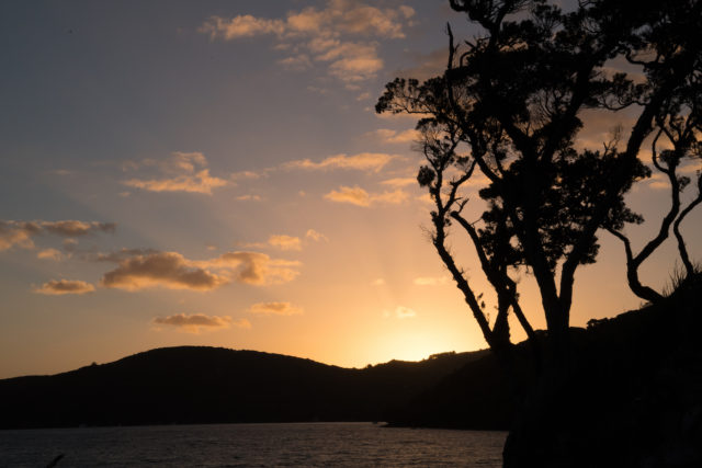 Tryphena Coast Line Sunset on Aotea - Great Barrier Island