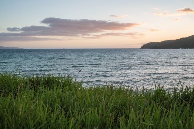Tryphena Coast Line Sunset on Aotea - Great Barrier Island