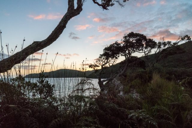 Coast Line at Tryphena during Sunset on Great Barrier Island, Aotea