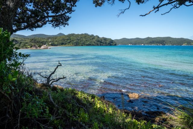 Puriri Bay in Tryphena on Great Barrier Island, Aotea
