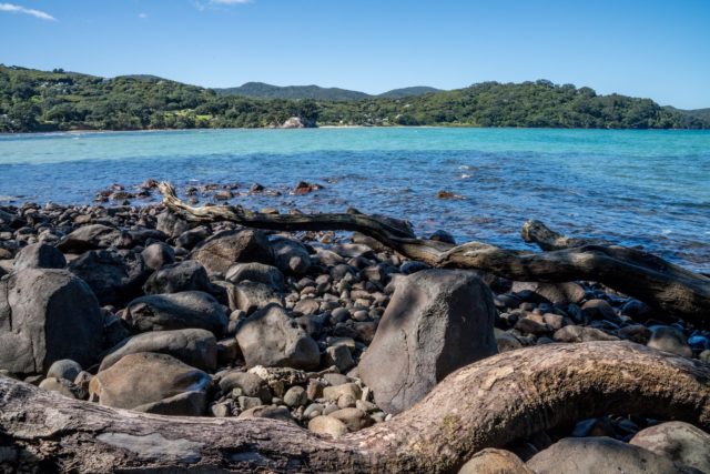 Puriri Bay at Tryphena on Great Barrier Island, Aotea
