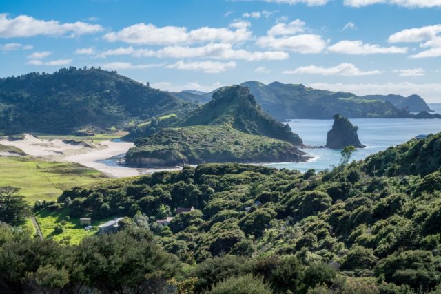 Windy Canyon on Aotea Great Barrier Island