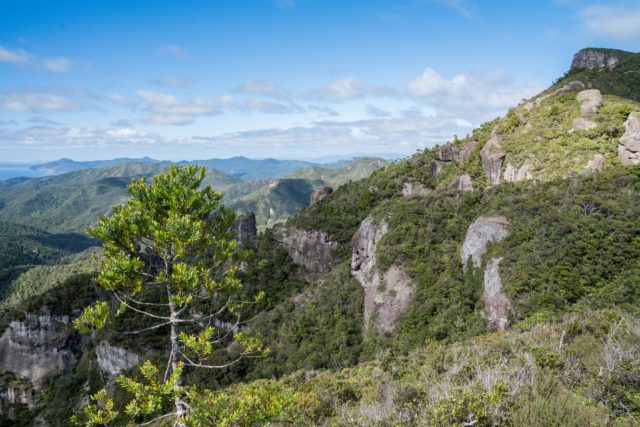 Windy Canyon View, Aotea Great Barrier Island