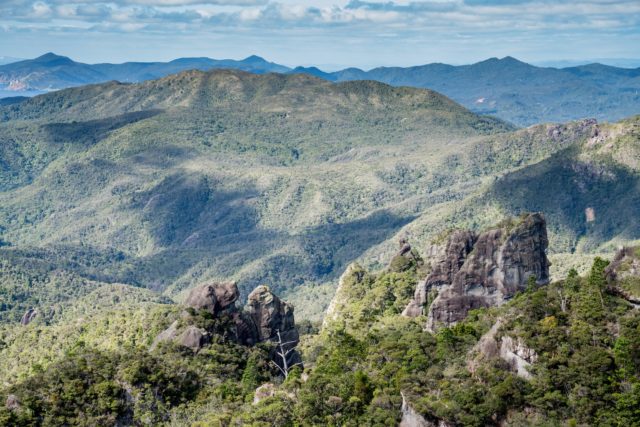 Windy Canyon View, Aotea Great Barrier Island