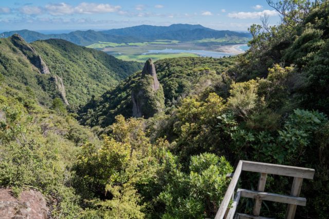 Windy Canyon Walk View, Aotea Great Barrier Island