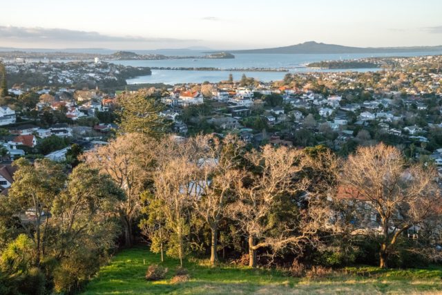 Early Evening in Remuera - Street Photography Auckland