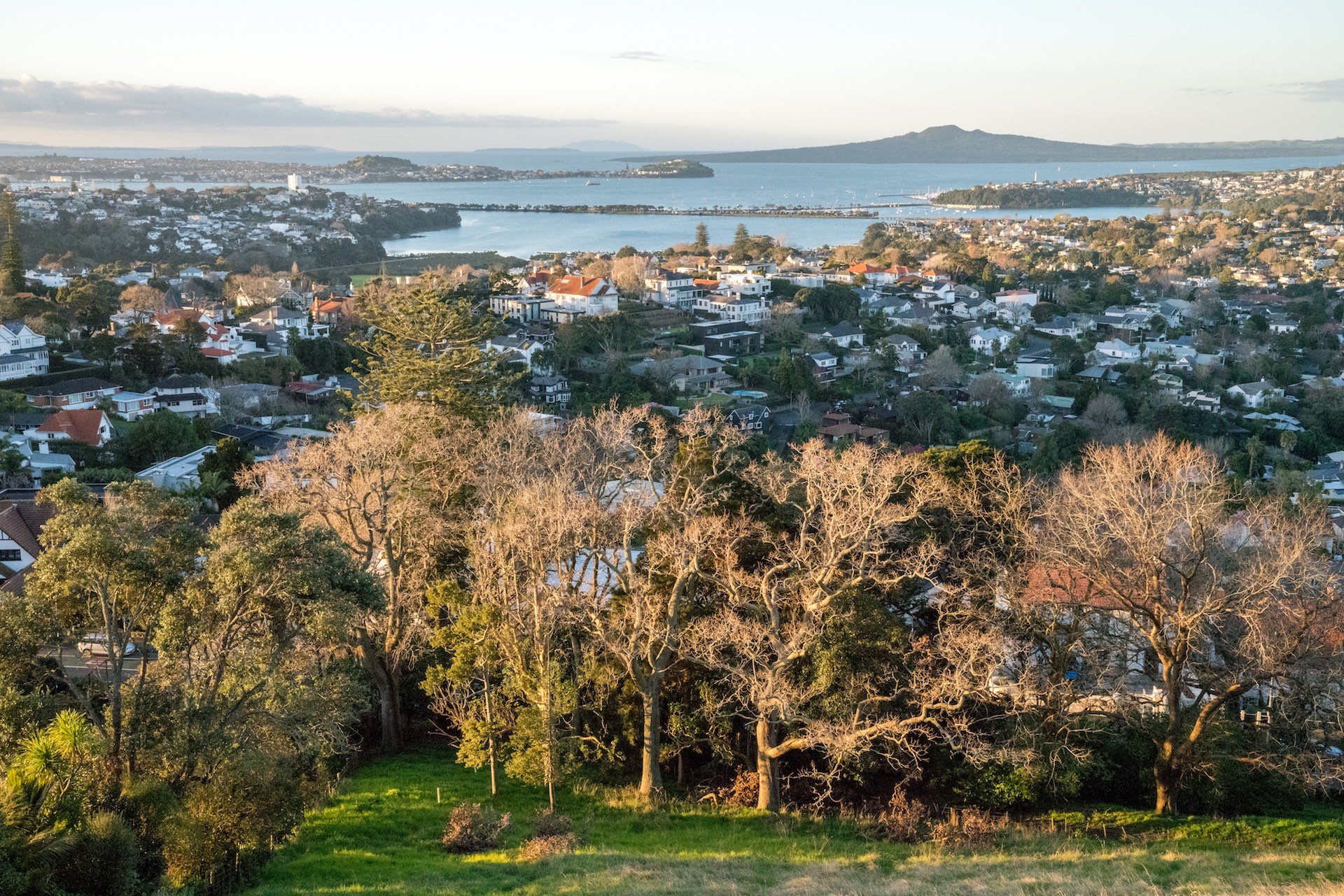 Early Evening in Remuera - Street Photography Auckland