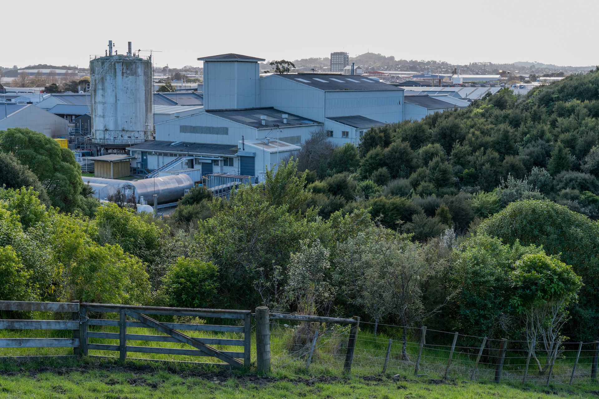 Hamlins Hill, Mutukaroa Regional Park Penrose - Street Photography Auckland