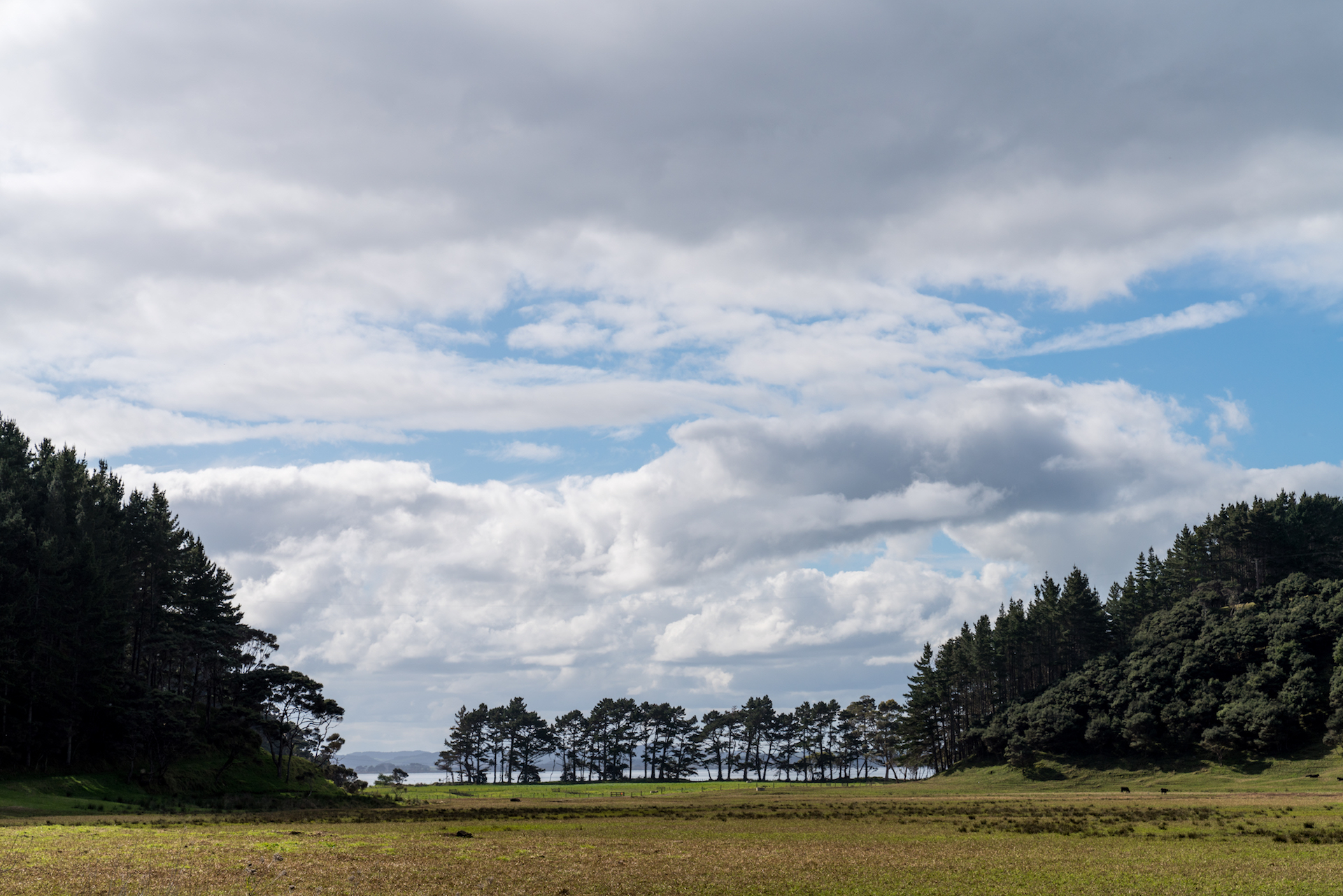 Mosquito Beach South Head Auckland - Landscape Photography