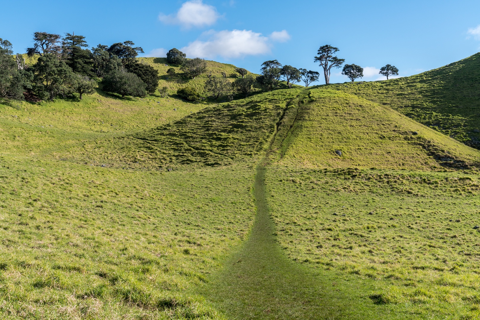 Māngere Mountain Volcano Crater Path - Landscape Photography
