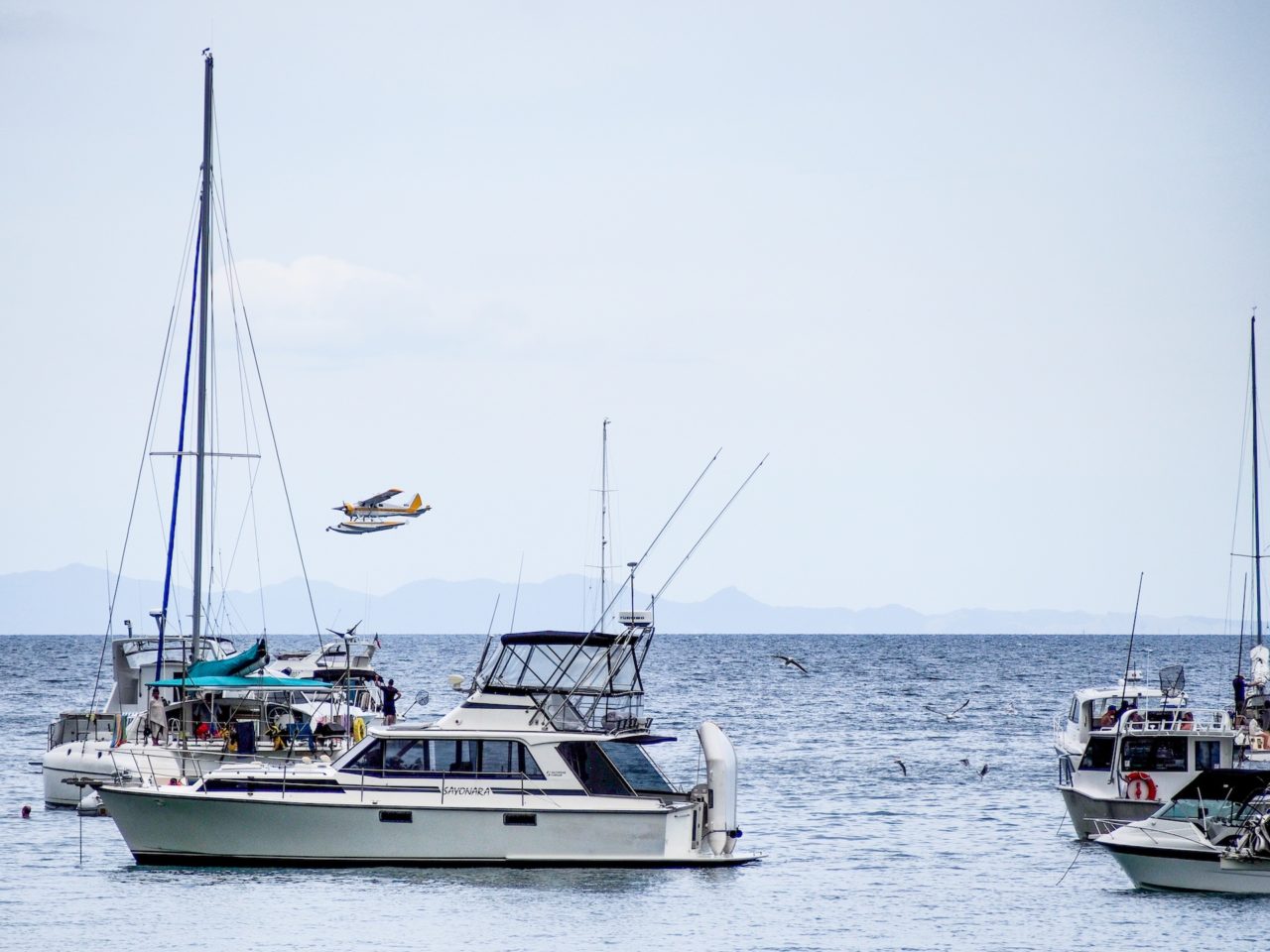 Oneroa Bay Waiheke Island - Street Photography Auckland