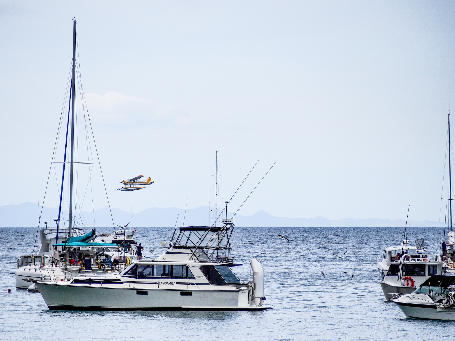 Oneroa Bay Waiheke Island - Street Photography Auckland
