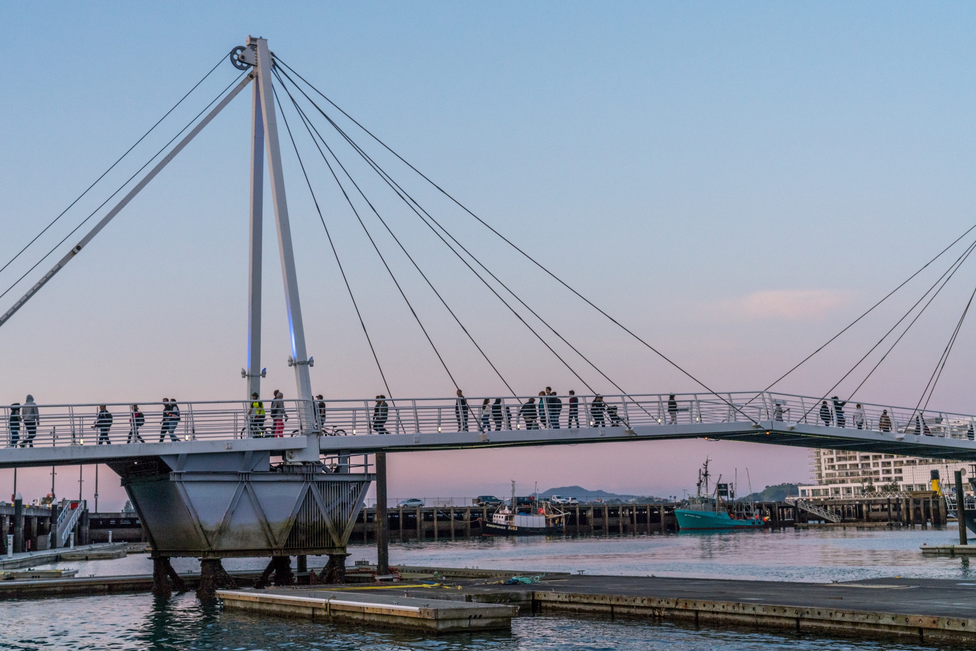 People Crossing Wynyard Crossing Aucklife