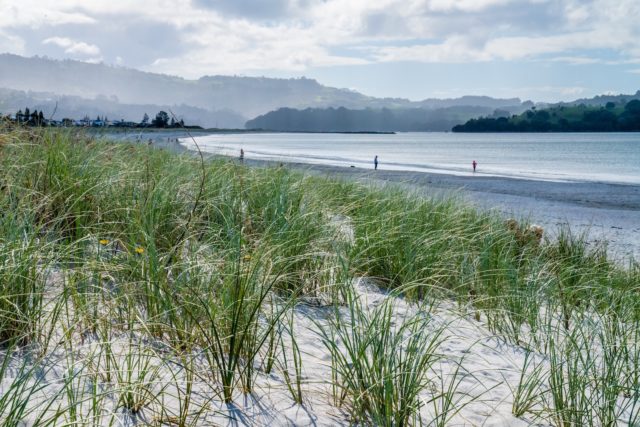 Rain Showers over Omaha Beach - Landscape Photography Auckland