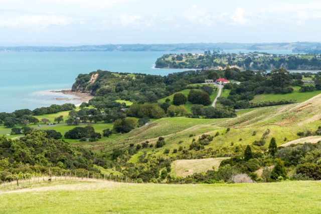 Shakespear Lodge Te Haruhi Bay, Whangaparaoa - Landscape Photography Auckland
