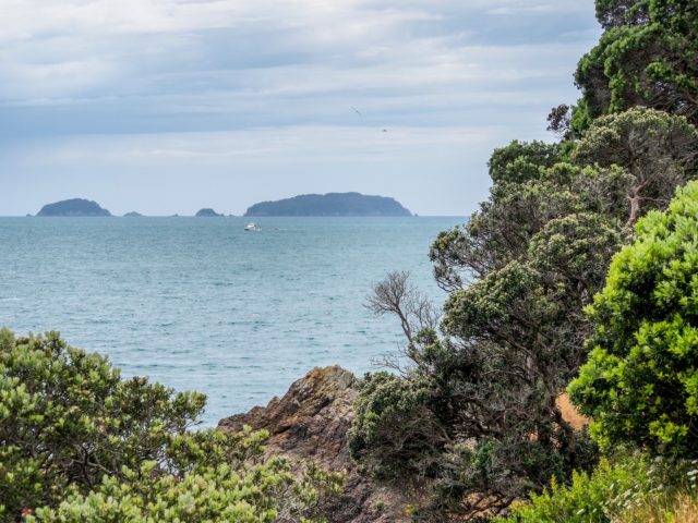 Waiheke Island, Motuhoropapa Island and Otata Island Landscape Photography Auckland
