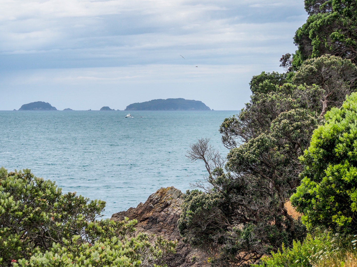 Waiheke Island, Motuhoropapa Island and Otata Island Landscape Photography Auckland