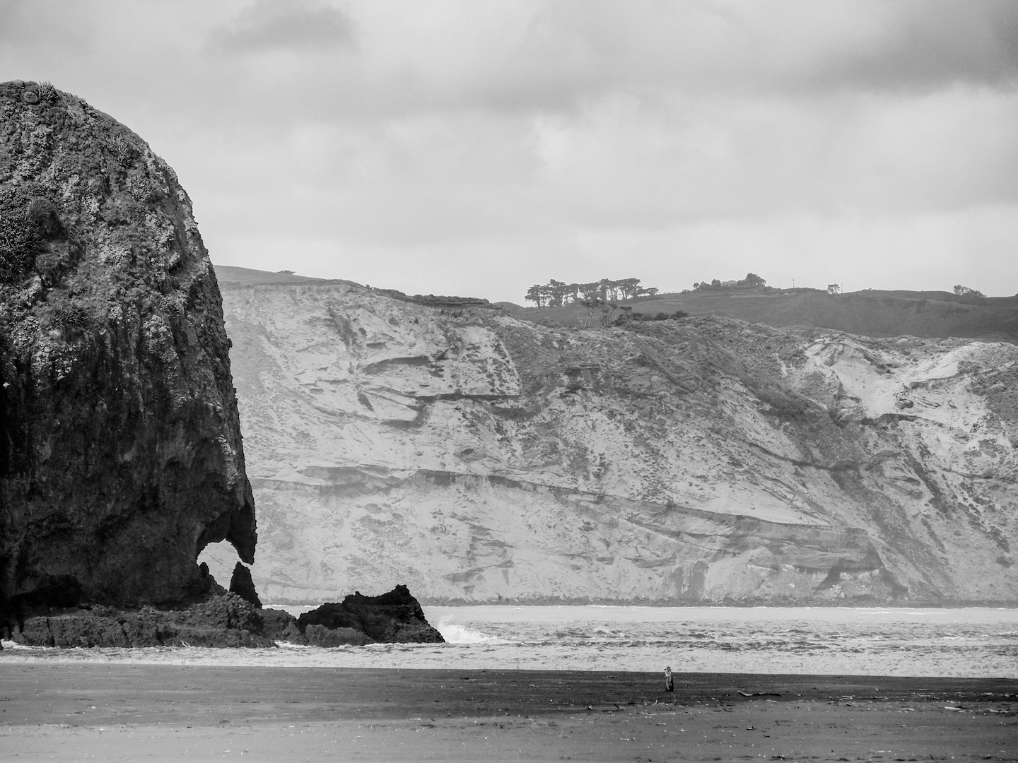 Manukau Heads Aucklife