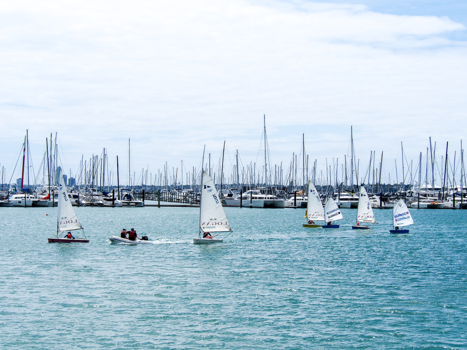 Auckland sailboats westhaven marina