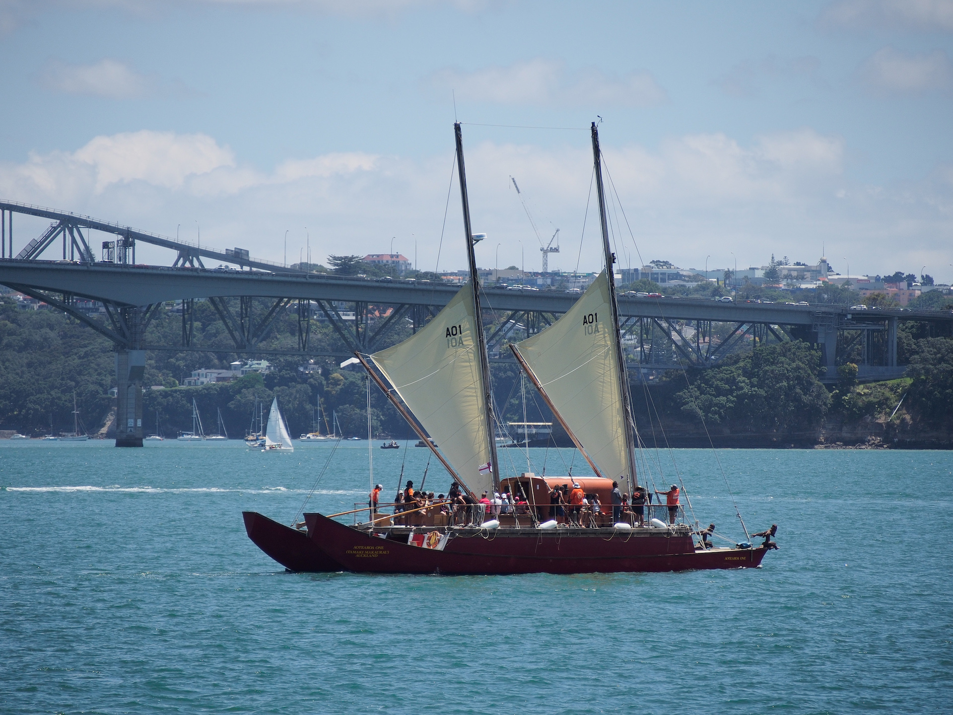 Waka Auckland Harbour Sailing Aucklife