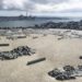 auckland-skyline-from-mount-victoria-devonport