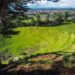 Mangere Mountain Crater View - South Auckland