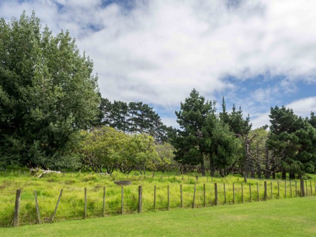 Auckland Public Avocado Orchard Otuataua