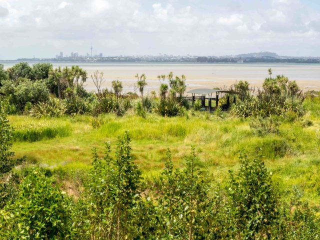 Harbour View Beach Reserve - Te Atatu Peninsula, Auckland Skyline