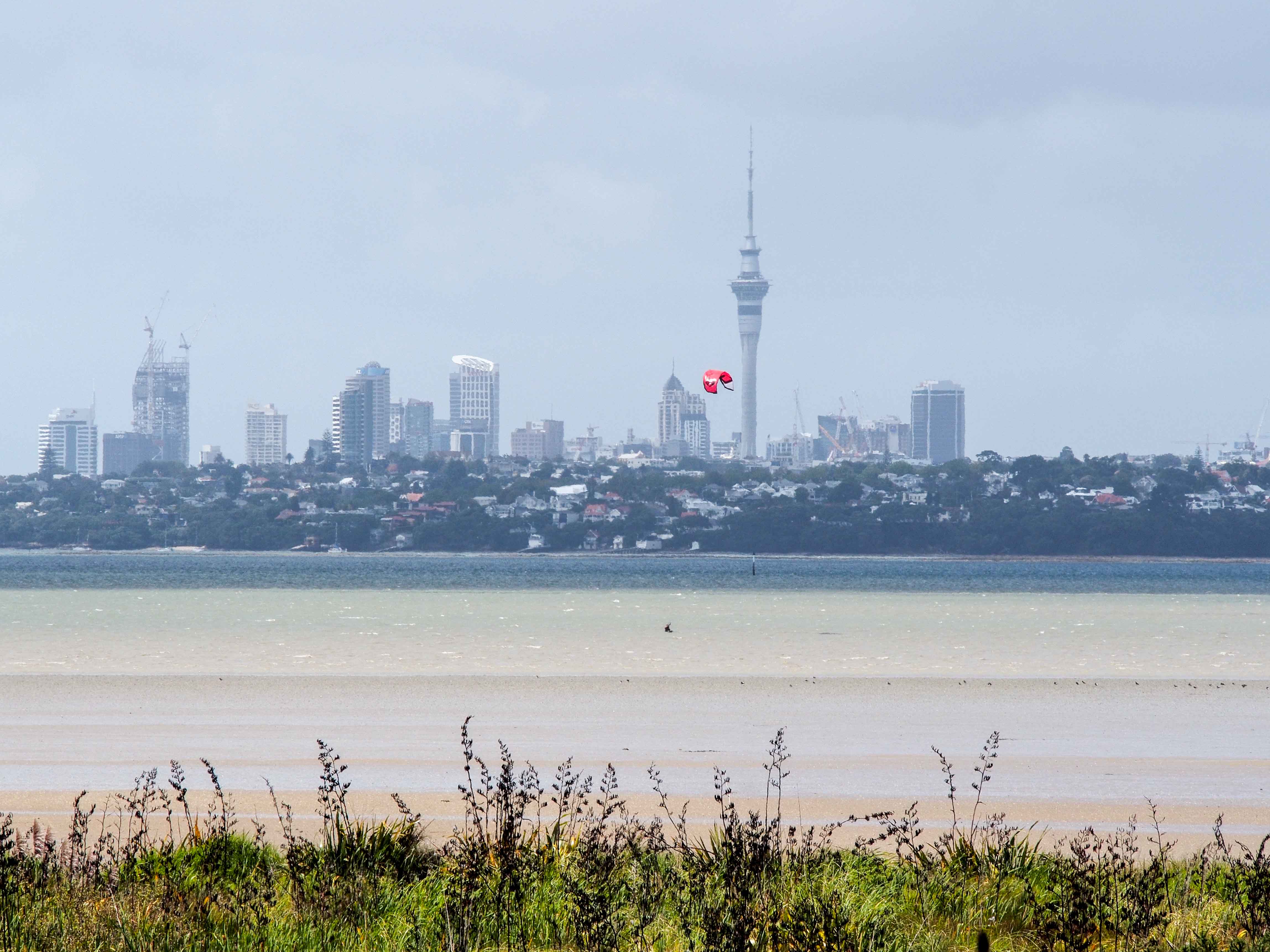 Kite Surfer at Waimanu Bay Reserve - Te Atatu Peninsula, Auckland Skyline