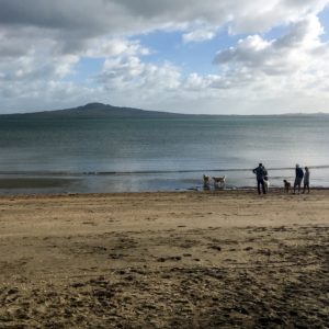 Early Morning Kohimarama, East Auckland