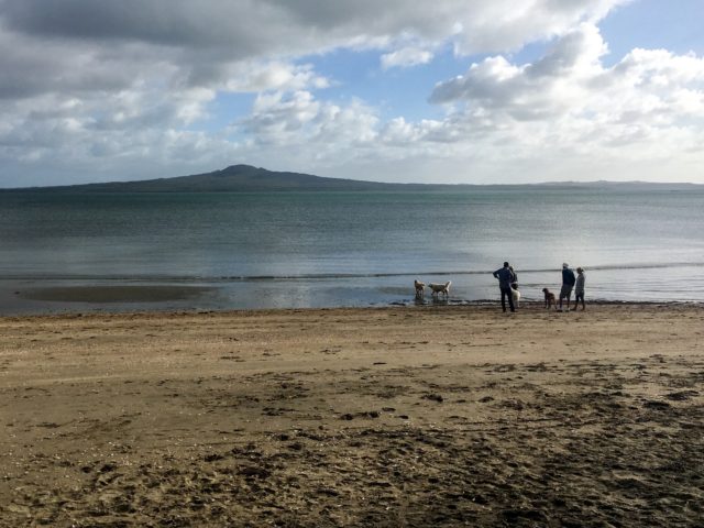Early Morning Kohimarama, East Auckland