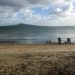 Early Morning Kohimarama, East Auckland