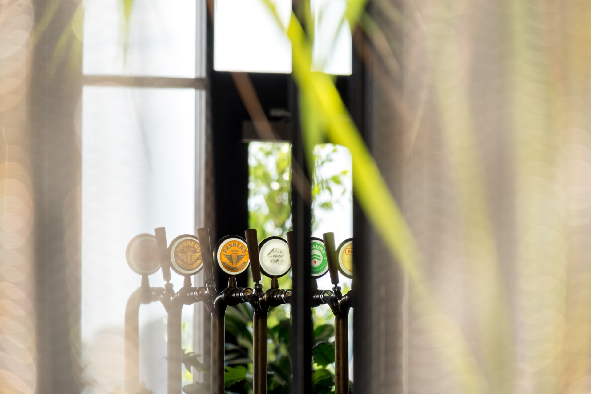 beer taps behind curtain in bar in Wynyard Quarter